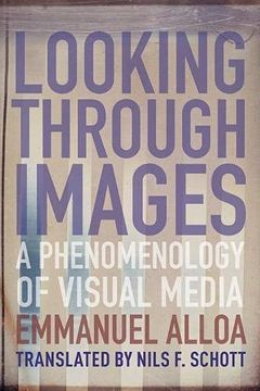 portada Looking Through Images: A Phenomenology of Visual Media (Columbia Themes in Philosophy, Social Criticism, and the Arts) (en Inglés)