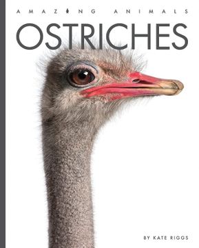 portada Ostriches (Amazing Animals) (in English)