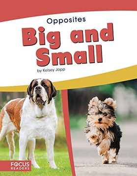 portada Big and Small (Opposites) (en Inglés)