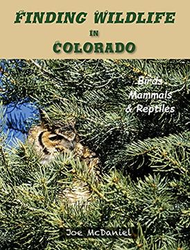 portada Finding Wildlife in Colorado: Birds, Mammals and Reptiles (in English)