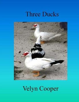 portada Three Ducks (en Inglés)