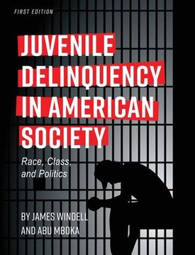 portada Juvenile Delinquency in American Society (in English)