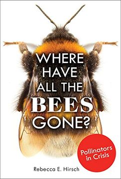 portada Where Have all the Bees Gone? Pollinators in Crisis (en Inglés)