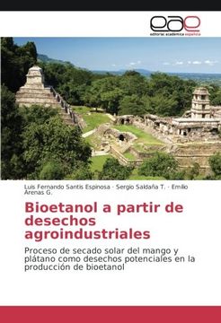 portada Bioetanol a partir de desechos agroindustriales: Proceso de secado solar del mango y plátano como desechos potenciales en la producción de bioetanol (Spanish Edition)