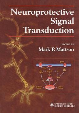 portada Neuroprotective Signal Transduction (en Inglés)