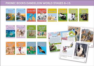 portada Phonic Books Dandelion World Stages 8-15 (Words With Four Sounds Cvcc) (en Inglés)