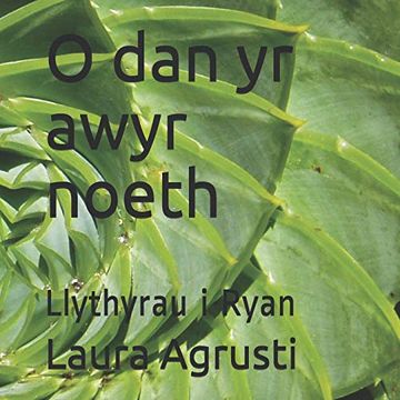 portada O dan yr Awyr Noeth: Llythyrau i Ryan 