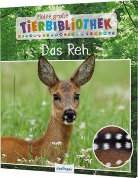 portada Meine Große Tierbibliothek: Das reh (en Alemán)