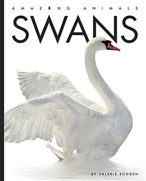 portada Swans (Amazing Animals) (in English)