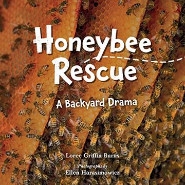 portada Honeybee Rescue: A Backyard Drama (in English)