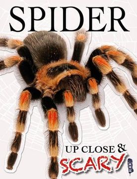 portada Up Close & Scary Spider