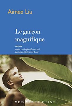 portada Le Garçon Magnifique (in French)