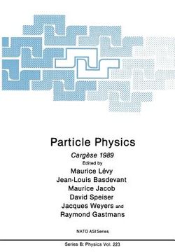 portada Particle Physics: Cargèse 1989 (in English)