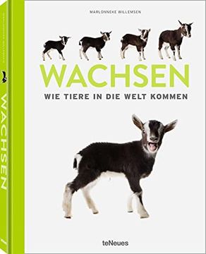 portada Wachsen: Wie Tiere in die Welt Kommen (en Alemán)