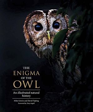 portada The Enigma of the Owl: An Illustrated Natural History (en Inglés)