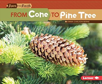 portada From Cone to Pine Tree (Start to Finish)