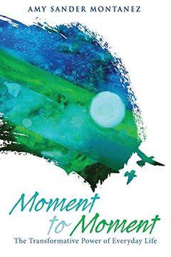 portada Moment to Moment: The Transformative Power of Everyday Life (in English)