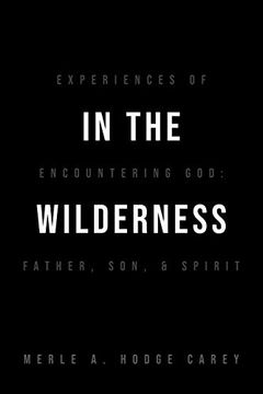 portada In the Wilderness: Experiences of Encountering God: Father, Son, and Spirit (en Inglés)