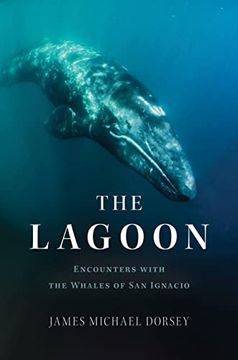 portada The Lagoon: Encounters With the Whales of san Ignacio (en Inglés)