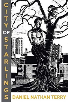 portada City of Starlings (en Inglés)