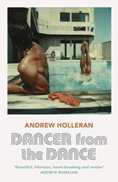 portada Dancer From the Dance (en Inglés)