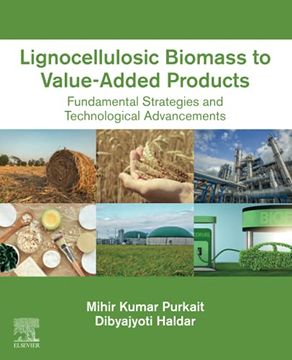 portada Lignocellulosic Biomass to Value-Added Products: Fundamental Strategies and Technological Advancements 