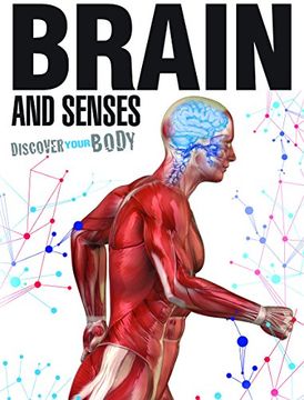 portada Brain and Senses (Discover Your Body)