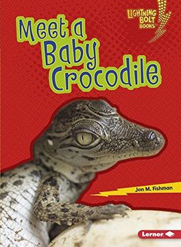 portada Meet a Baby Crocodile