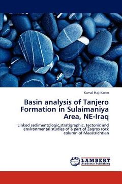 portada basin analysis of tanjero formation in sulaimaniya area, ne-iraq (en Inglés)
