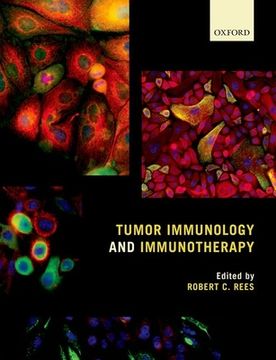 portada Tumor Immunology and Immunotherapy 