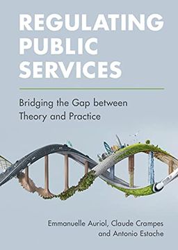 portada Regulating Public Services: Bridging the gap Between Theory and Practice (in English)