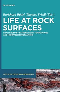portada Life at Rock Surfaces: Challenged by Extreme Light, Temperature and Hydration Fluctuations (Life in Extreme Environments) (en Inglés)