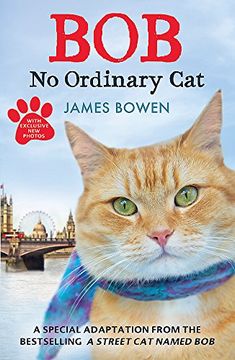 portada Bob: No Ordinary cat (in English)