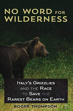 portada No Word for Wilderness: Italy's Grizzlies and the Race to Save the Rarest Bears on Earth (en Inglés)