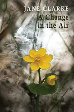 portada A Change in the air (in English)
