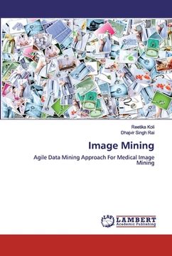 portada Image Mining (en Inglés)