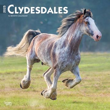 Libro Clydesdales 2025 12 x 24 Inch Monthly Square Wall Calendar ...