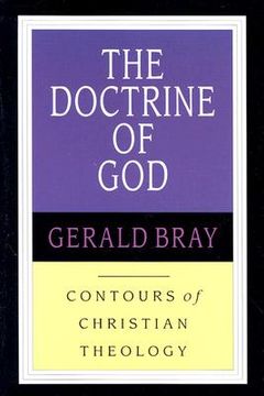 portada the doctrine of god: god & the world in a transitional age (in English)