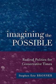 portada imagining the possible: radical politics for conservative times (en Inglés)