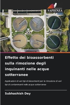 portada Effetto dei bioassorbenti sulla rimozione degli inquinanti nelle acque sotterranee (in Italian)