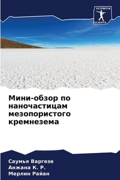 portada Мини-обзор по наночастиц (en Ruso)