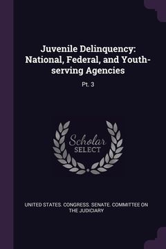 portada Juvenile Delinquency: National, Federal, and Youth-serving Agencies: Pt. 3