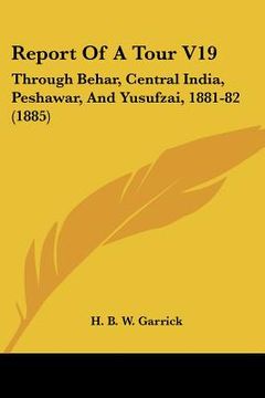 portada report of a tour v19: through behar, central india, peshawar, and yusufzai, 1881-82 (1885) (en Inglés)