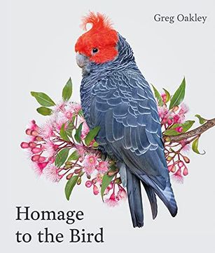 portada Homage to the Bird (en Inglés)