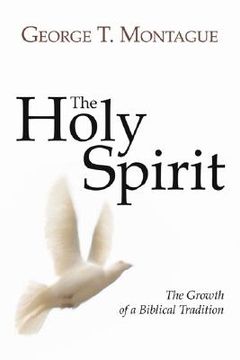 portada the holy spirit: growth of a biblical tradition (en Inglés)