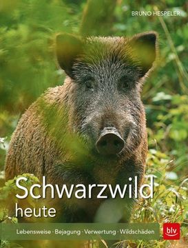 portada Schwarzwild Heute (en Alemán)