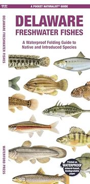portada Delaware Freshwater Fishes: A Waterproof Folding Guide to Native and Introduced Species (Pocket Naturalist Guide) (in English)