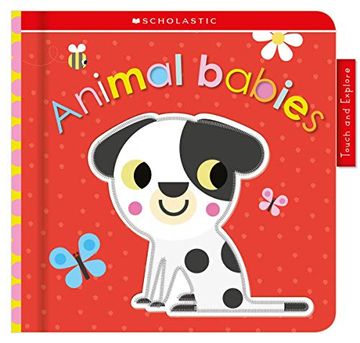 portada Animal Babies: Scholastic Early Learners (en Inglés)