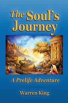 portada The Soul's Journey: A Pre-Life Adventure - Narayan's Preparation for his Next Earthly Life (en Inglés)