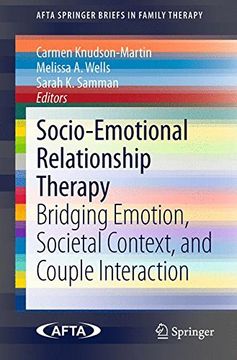 portada Socio-Emotional Relationship Therapy: Bridging Emotion, Societal Context, and Couple Interaction (Afta Springerbriefs in Family Therapy) (en Inglés)